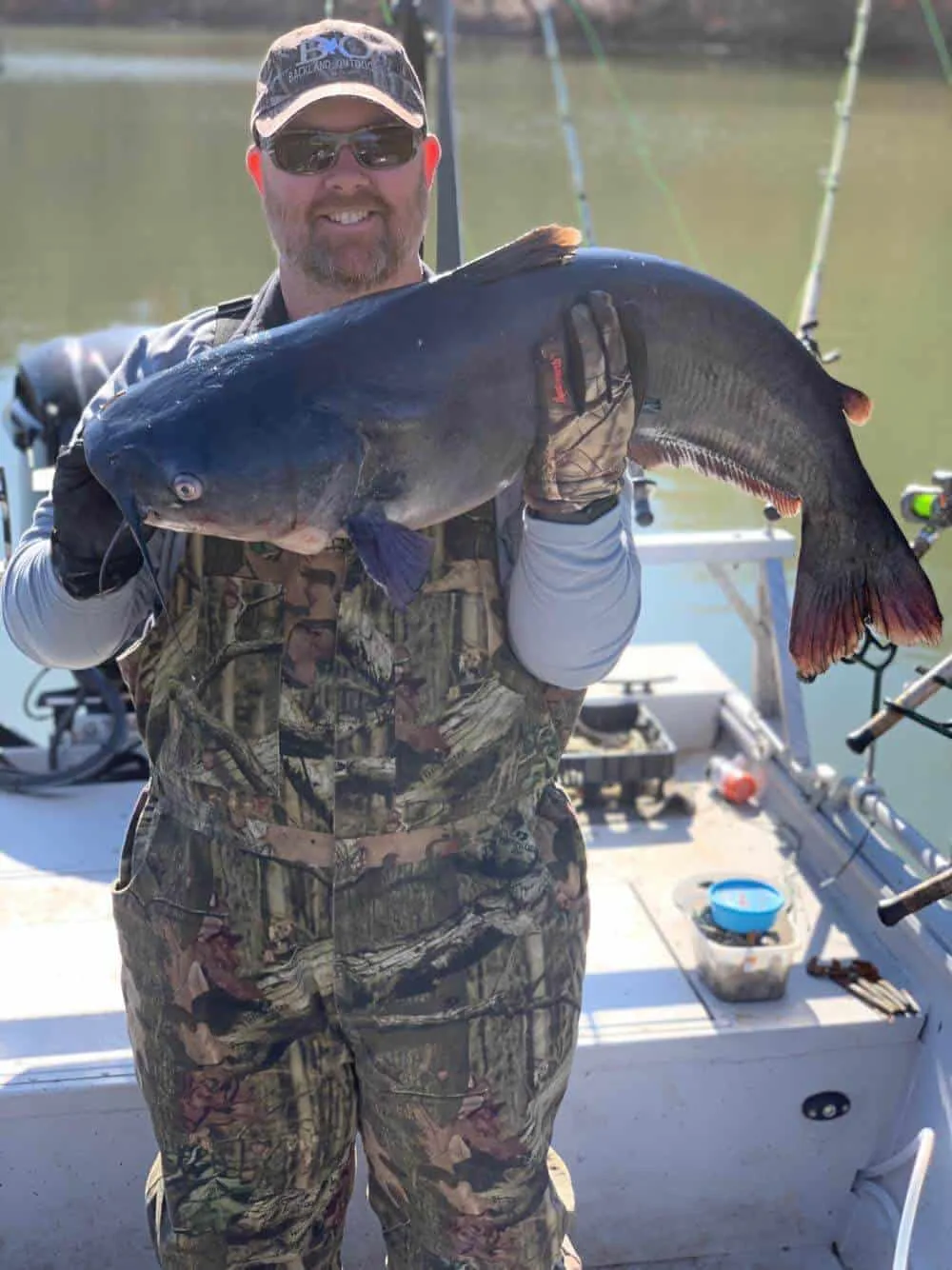 Large Blue Catfish