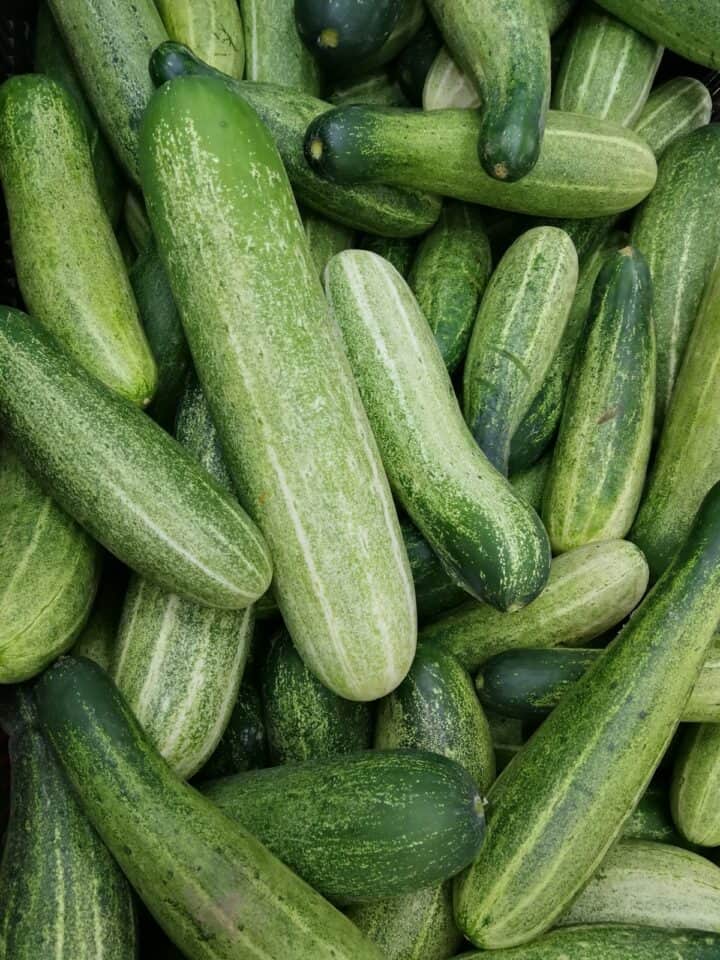 raw cucumbers that will be used to make homemade dill pickles.