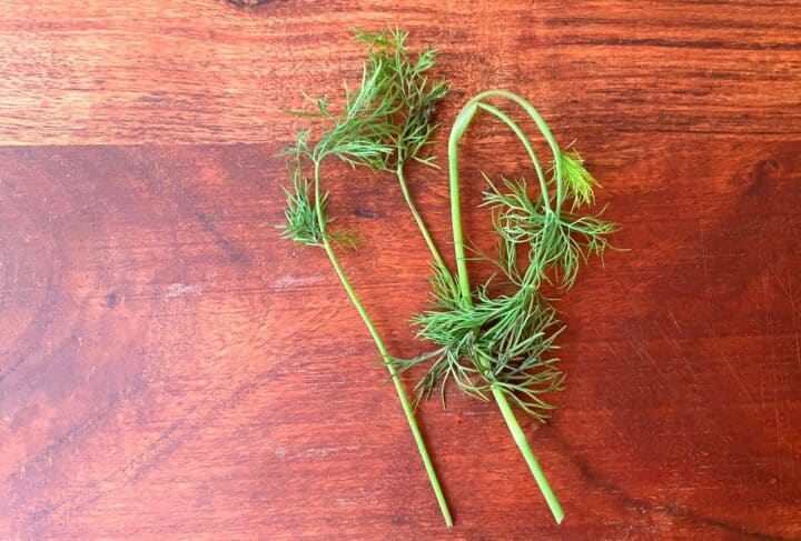 up close picture of fresh dill weed sitting on a cutting board.