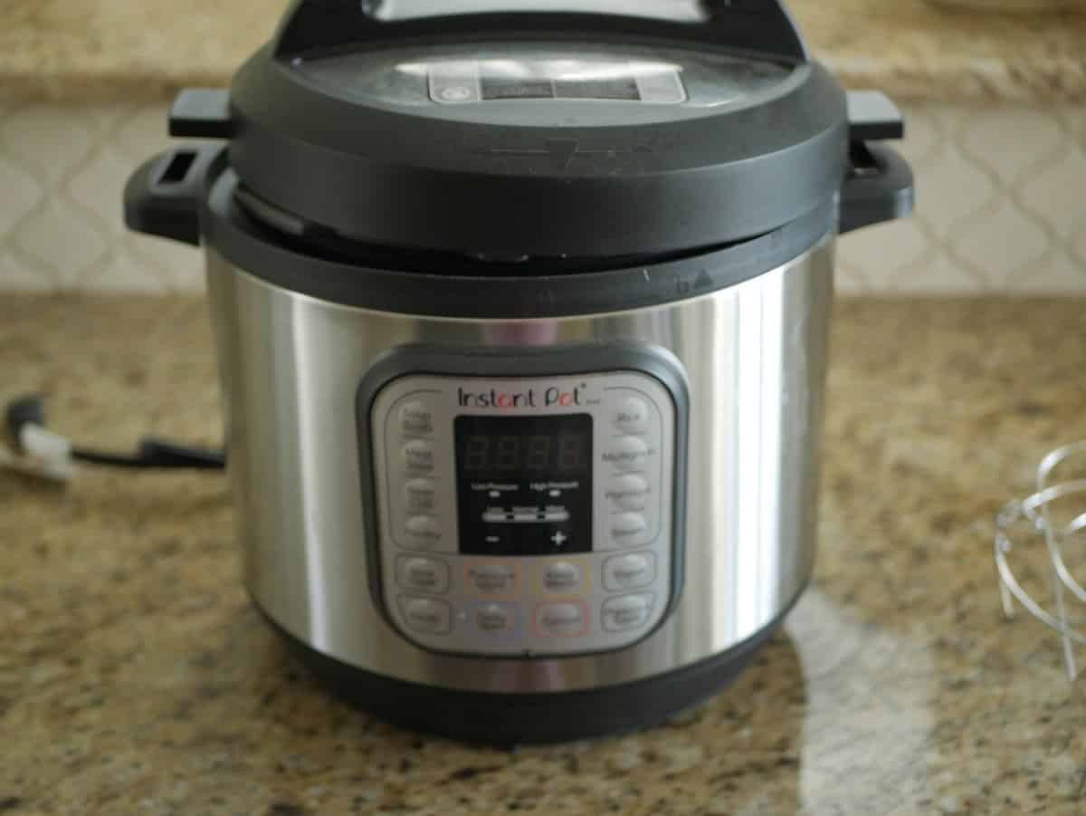 Quick and Easy Instant Pot Boiled Peanuts Southern Food Junkie