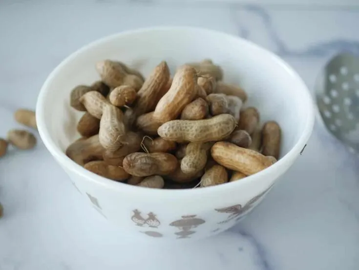 Quick and Easy Instant Pot Boiled Peanuts