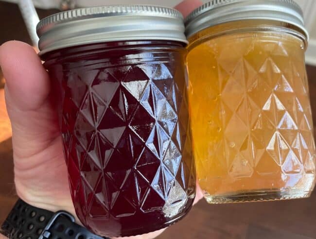How To Make Southern Muscadine Jelly.
