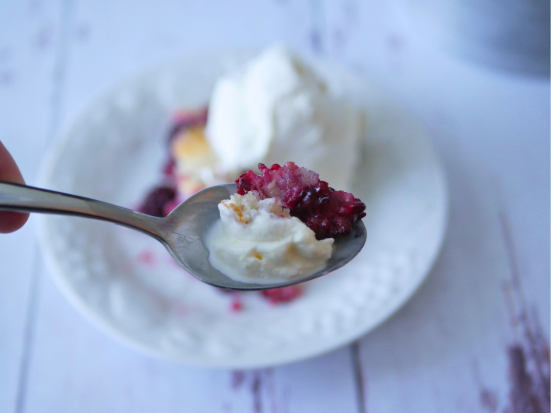 Creamy Homemade Vanilla Ice Cream with No Eggs - Southern Food Junkie Creamy Homemade Vanilla Ice Cream with No Eggs - Southern Food Junkie