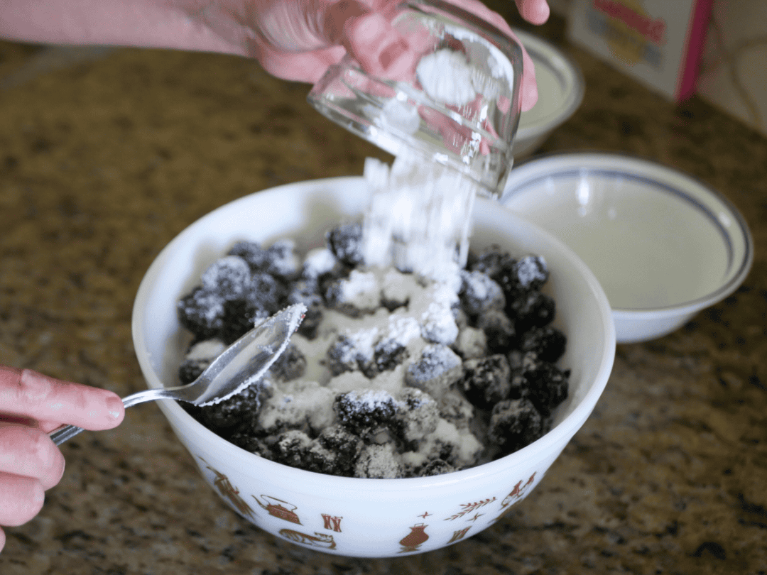 OldFashioned Southern Blackberry Cobbler Recipe (Easy) Southern Food