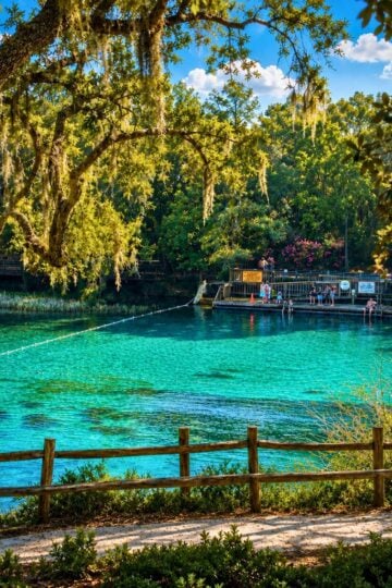 Turquoise swimming area at Rainbow Springs State Park in Dunnellon, Florida.